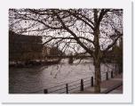 strasbourganette 510 * 600 x 450 * (65KB)
